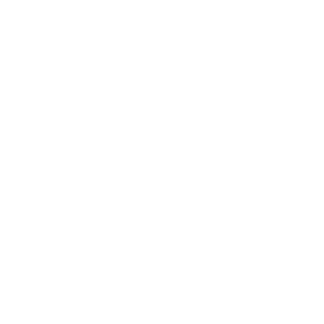 logo-vainsan-blanc